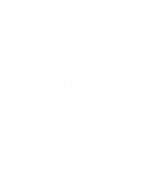 North East Lincolnshire Council Logo